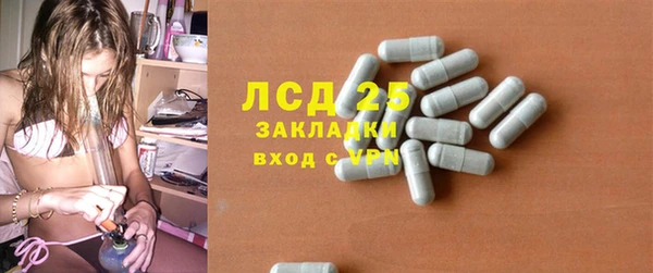индика Бронницы
