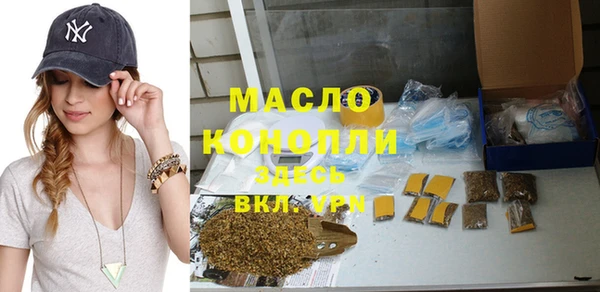индика Бронницы